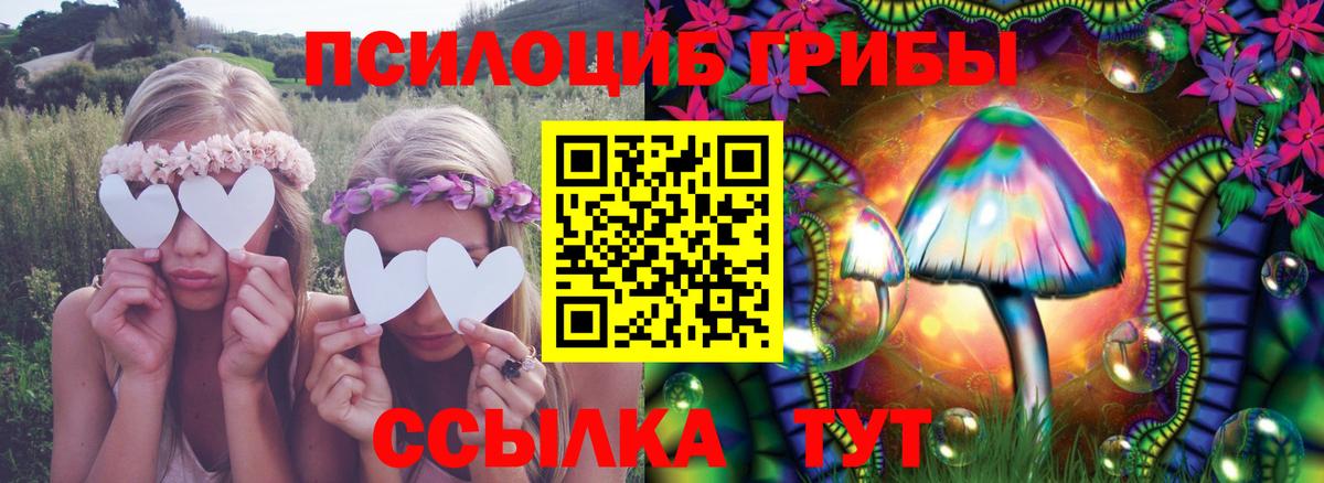 Волжский  Псилоцибиновые грибы мухоморы  Псилоцибиновые грибы MAGIC MUSHROOMS  купить  сайты  Вход с VPN 